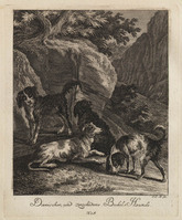 KG 01073
          <br/>
          Entwurf einiger Thiere. Erster Theil. (18 bladen)
          <br/>
          <em>Ridinger, Johann Elias (1698-1767)</em>